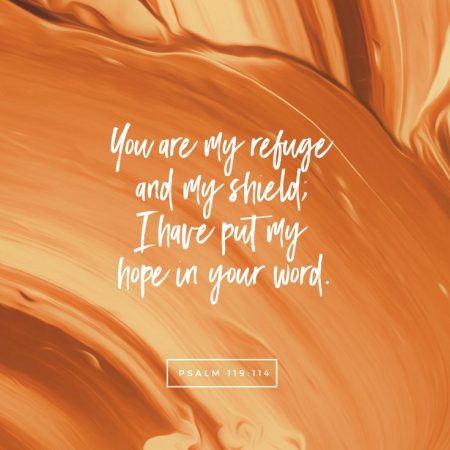 You are my Refuge scripture